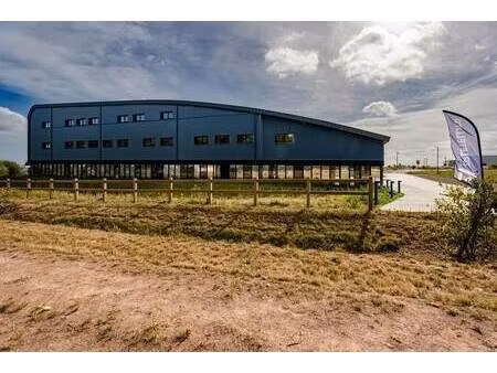 location bureaux 295 m²