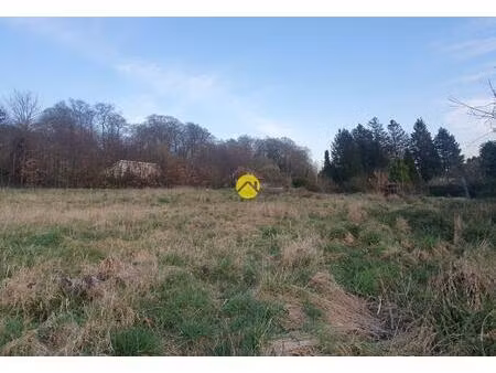 vente maison 1 pièce beaurainville (62990)