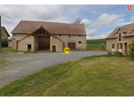 vente maison 7 pièces 171 m² nérondes (18350)