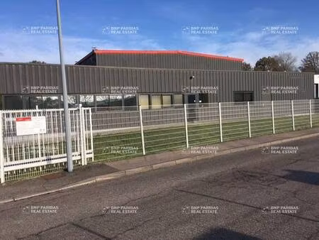 local d'activités à louer