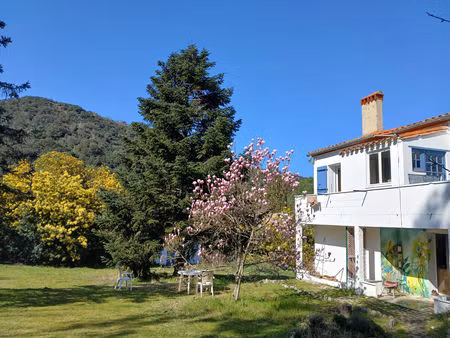 vente maison 6 pièces 162m2 reynès 66400 - 395000 € - surface privée