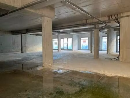 location commerce 474 m²