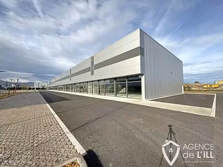 location commerce 542 m²