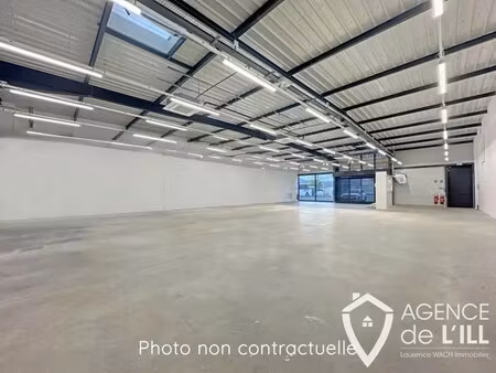 location commerce selestat 67600 330m²