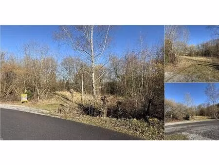 terrain à vendre à au rideu durbuy (vbe02248)