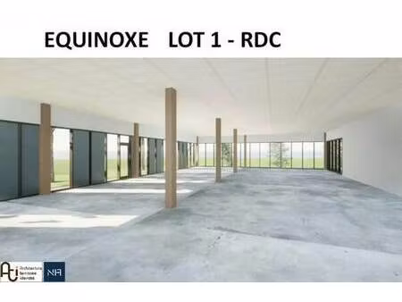 vente bureaux 295 m²