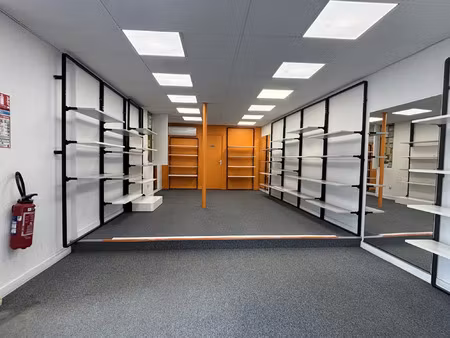 vente immeuble à doué-en-anjou (49700) : à vendre / 110m² doué-en-anjou