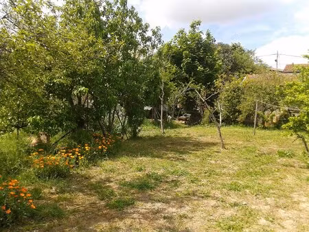 terrain de 540m² cloture et arbore