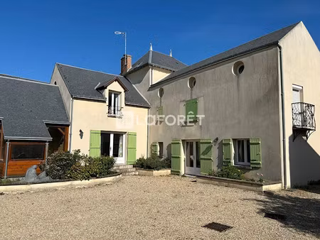 vente maison 11 pièces 255.92 m² à yevre le chatel (45300)  464 000 €