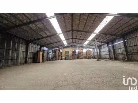 vente divers 1765 m² villevoques (45700)