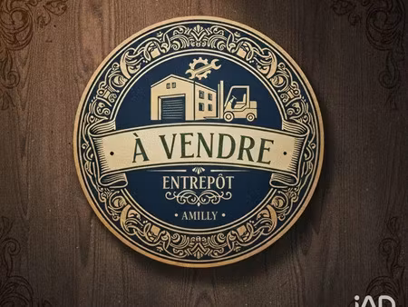 vente divers 631 m² amilly (45200)