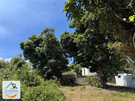 saint pierre 97410 - terrain plat et arboré - zone uf - empl