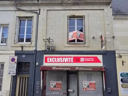 vente immeuble 240 m² longué-jumelles (49160)