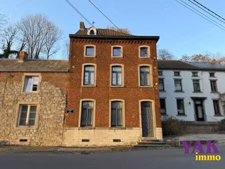 charmante maison 3 façades avec jardin à rénover
