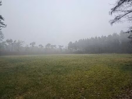 terrain à vendre à neerpelt € 85.000 (lmijw) - ghira real estate | zimmo