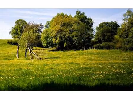 terrain constructible viabilisé à vendre