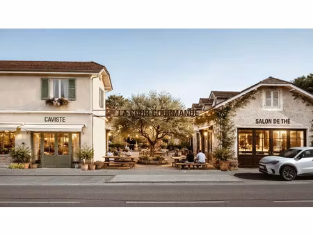 vente commerce 54 m² soumoulou (64420)