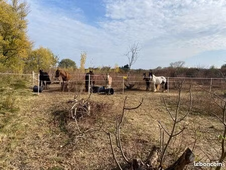 a louer : terrain agricole de 7000 m² à laudun