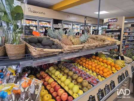 vente commerce 140 m² olette (66360)