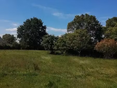 vente terrain à plessé (44630) : à vendre / 3727m² plessé