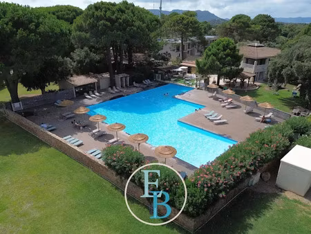 vente appartement 3 pièces 44 m² à lecci (20137)  318 000 €