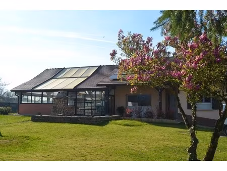 ensemble immobilier composé de deux maisons et d'un hangar cuisia (39)