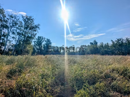 'achetez de la terre  on en fabrique plus' mark twain