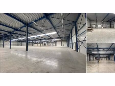 surface industrielle à louer à sint-niklaas (rbv55689)