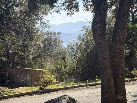 villanova immobilier