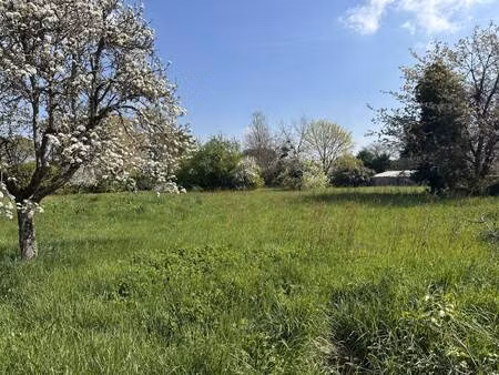 terrain constructible viabilisé à vendre