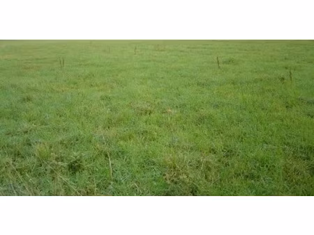vente terrain 1211 m² à saint-patrice-du-désert (61600)  11 600 €