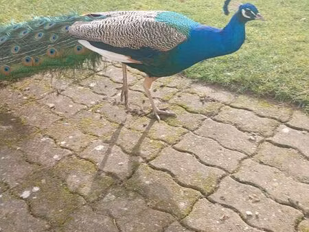 demande location garage