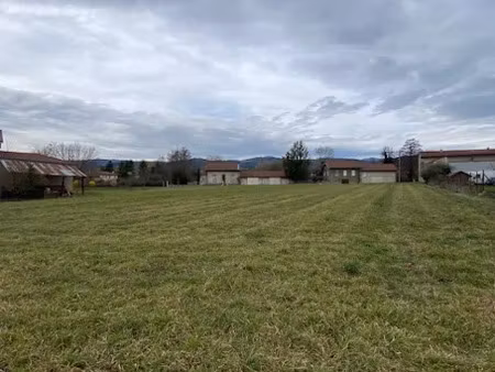 vente terrain 1820 m² à champdieu (42600)  79 000 €