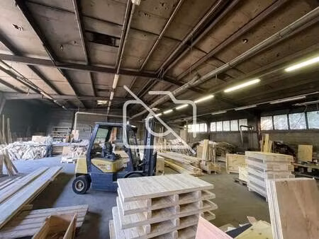 vente entrepôt ballainvilliers 91160 1000m²