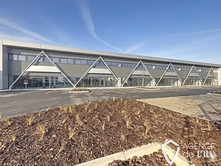 local d'activité - colmar