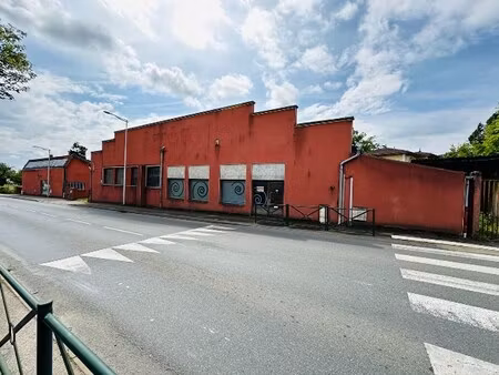 vente local d’activités limas 69400 945m²