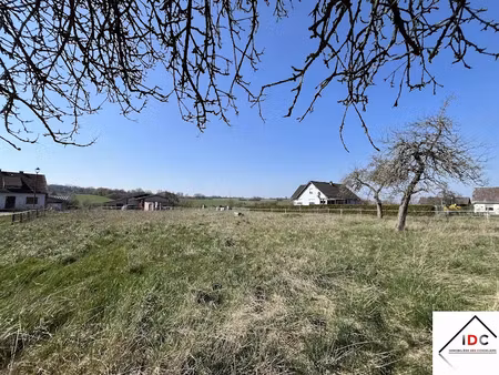 vente terrain 2300 m² à asswiller (67320)  90 000 €