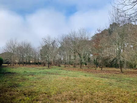 vente terrain 3957 m² lège (33950)