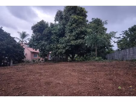 vente terrain 473 m² à la riviere (97421)  95 500 €