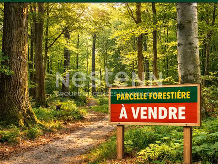 terrain forestier saint-martin-des-près 13435 m2