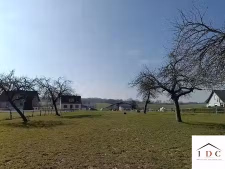 vente terrain à batir 2300 m² à petersbach (67290)  90 000 €