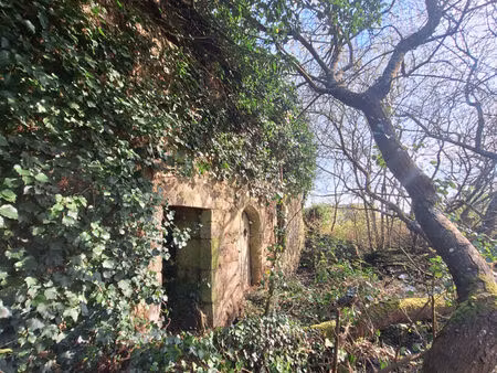 terrain non constructible avec bâtisse en pierres en ruine  pour jardin ou espace de loisi