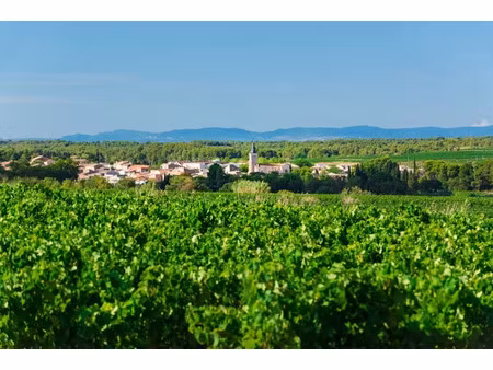 vente terrain 441 m² à pinet (34850)  109 000 €