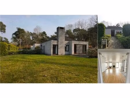 bungalow à louer à saskesdreef 2 lommel (rbv55740)