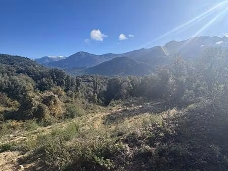 villanova immobilier