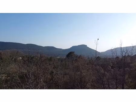 vente terrain 9800 m² à bagnols-en-forêt (83600)  250 000 €