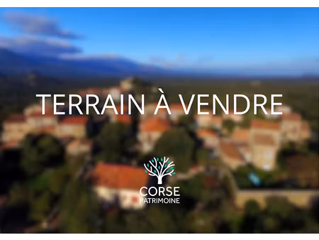 vente terrain 1280 m² à sotta (20146)  240 000 €