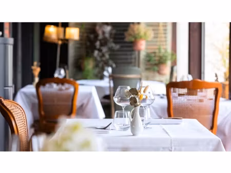 vente locaux professionnels à aleria (20270)  249 000 €