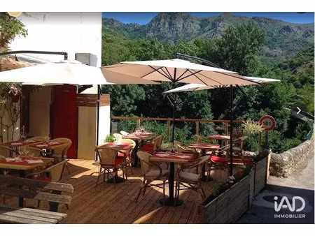 vente locaux professionnels 380 m² à montpezat-sous-bauzon (07560)  198 000 €