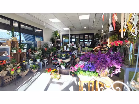 vente locaux professionnels 63.82 m² à brizambourg (17770)  60 000 €